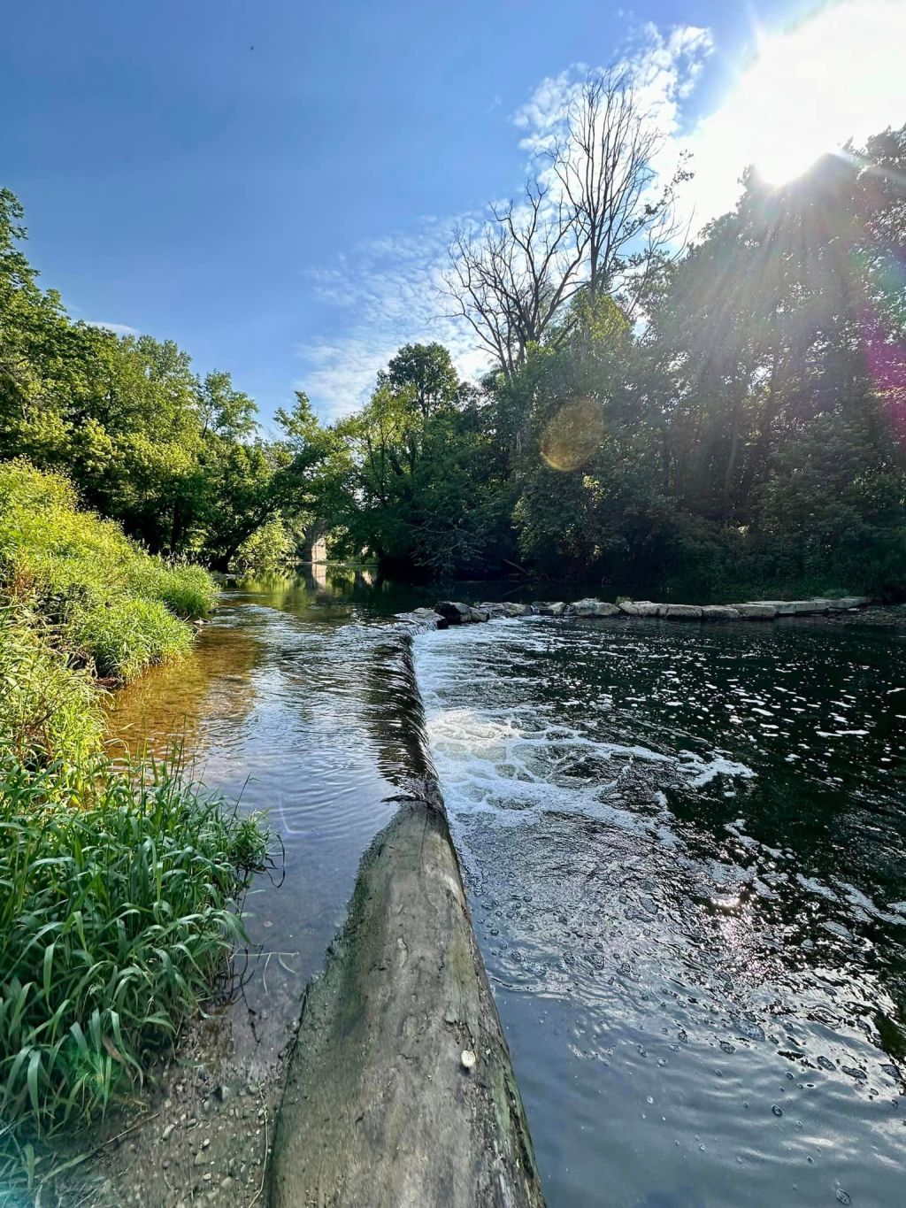 Starkey Nature Park & Big Dave’s Deli &&nbsp;Meats